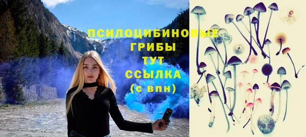 тгк Ессентукская