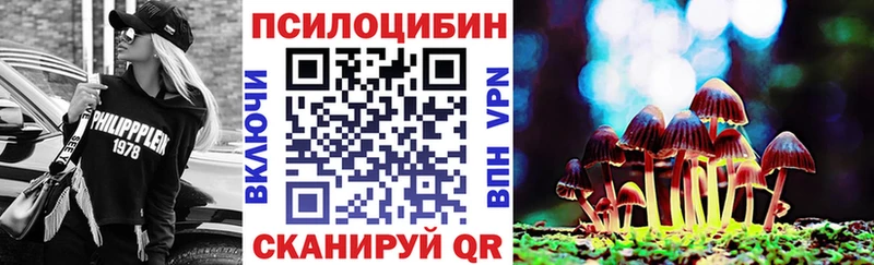 Купить закладки  Тихвин  Галлюциногенные грибы Psilocybe 